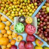 Tomato Season Brings Beautiful Bounty To NYC Greenmarkets